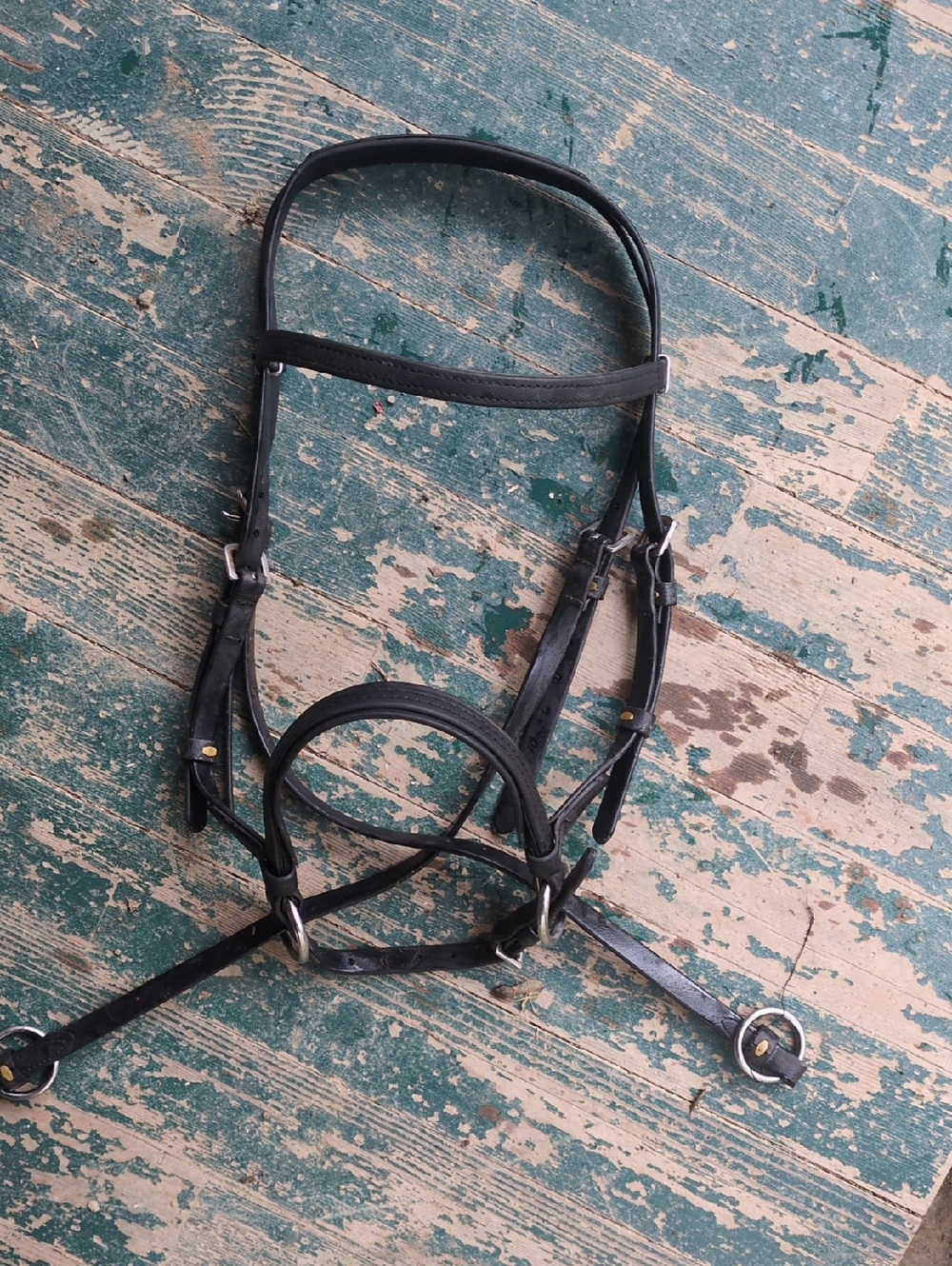 Dr Cook Bitless Bridle Horse